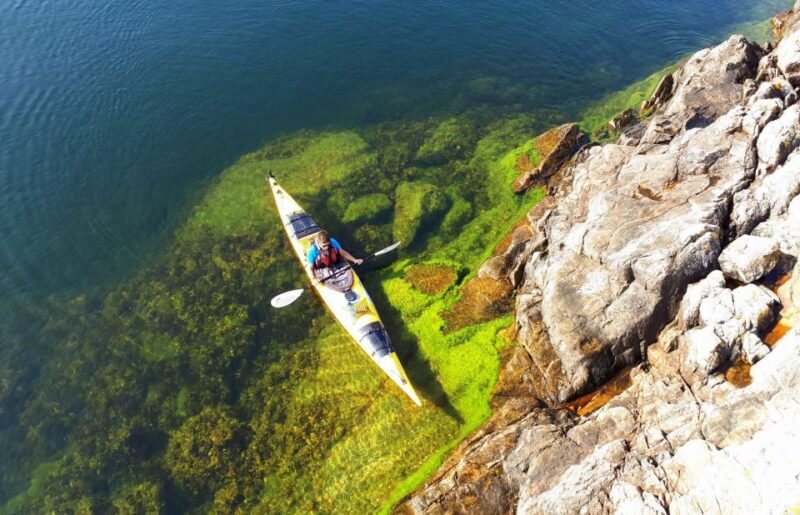 Stockholm: 1, 2, or 3-Day Kayaking Tour in the Archipelago - Day-Long Kayaking with a Tasty Wilderness Lunch and Fika