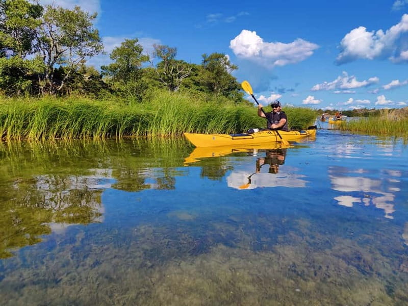Stockholm Archipelago: Fun-Day Kayaking with Island Lunch - Key Points