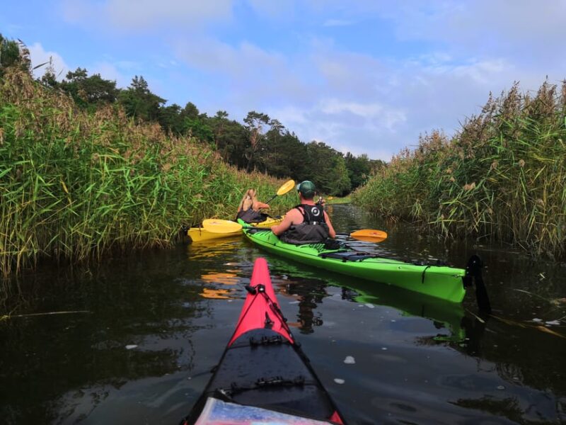Stockholm Archipelago: Fun-Day Kayaking with Island Lunch - Navigating the Calm Baltic Sea Waters