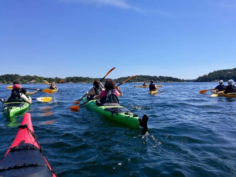 Stockholm Archipelago: Fun-Day Kayaking with Island Lunch - Wildlife and Bird Spotting Opportunities