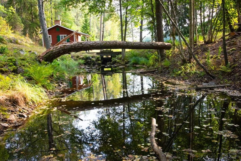 Stockholm: Canoe and Kayak Rental in Sörmland - Key Points