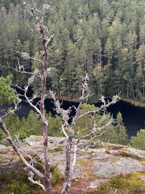 Stockholm: Canoe and Kayak Rental in Sörmland - Meeting Points and Accessibility for Paddlers