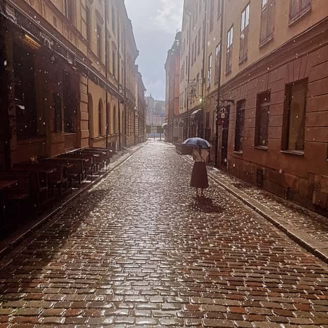 Stockholm City: Visit Icebar and Vasamuseum - Key Points