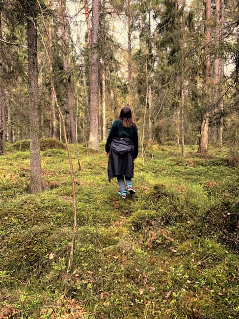 Stockholm: Dog Walk in Nature Reserve with Swedish Fika - Meeting Point and Access