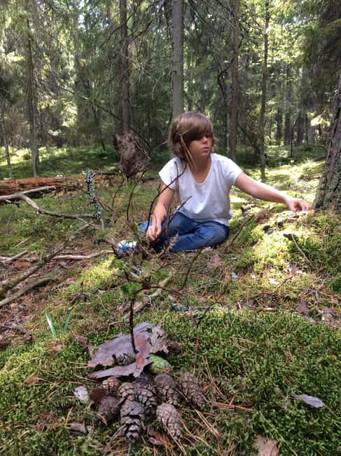 Stockholm: Dog Walk in Nature Reserve with Swedish Fika - Historic and Scenic Stops in the Reserve