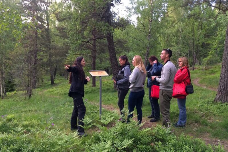 Stockholm: Evening Wildlife Safari with Midsummer Meal - Meeting Point and Tour Logistics