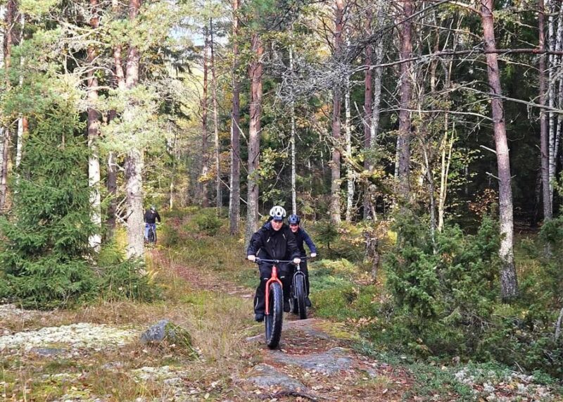 Stockholm: Fat Bike Forest Adventure with Lunch and Sauna - Return to Kallhäll Station and Easy Transportation Back