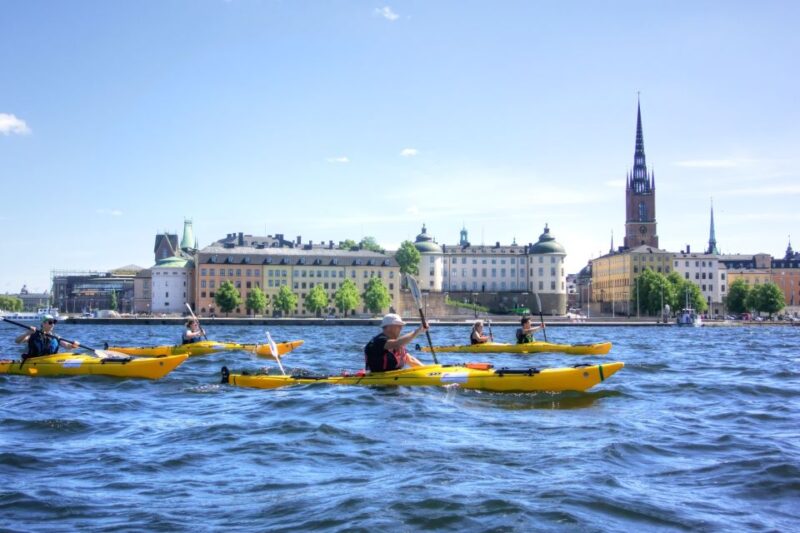 Stockholm: Guided Kayak City Tour & Optional Midsummer Meal - The Benefits of Paddling with a Guide