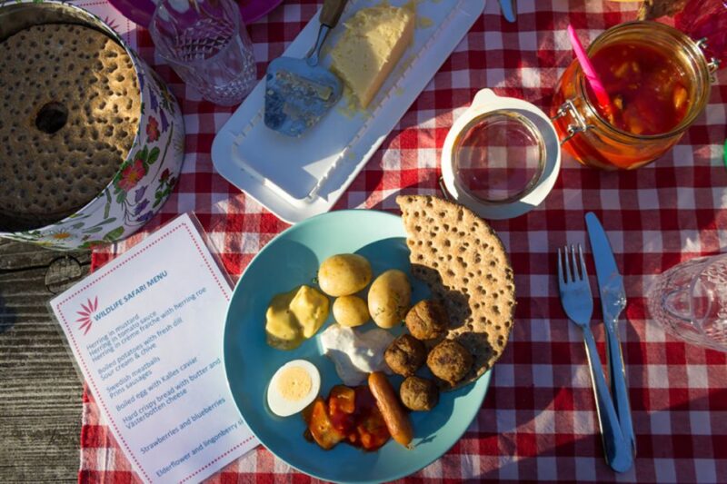 Stockholm: Guided Kayak City Tour & Optional Midsummer Meal - Physical Requirements and Accessibility