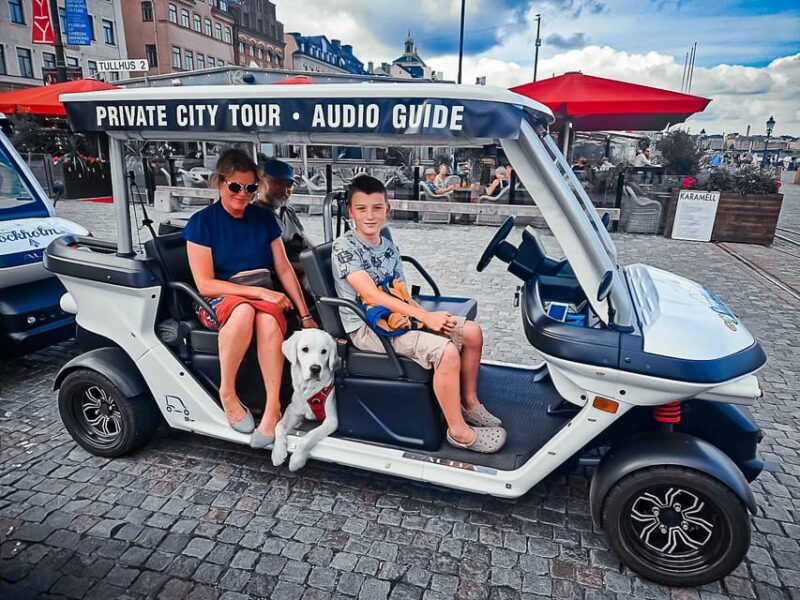 Stockholm Highlights by Golf Cart Tour - Discover the Royal Palace and Parliament Buildings