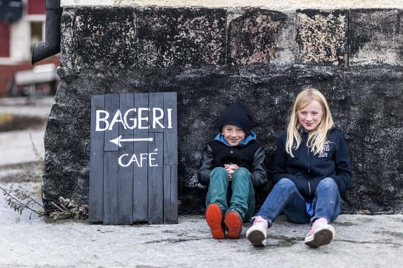 Stockholm: Highlights Guided Walking Tour - Walking through Djurgården, the City’s First National Park