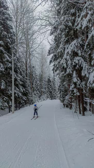 Stockholm: Introduction to Cross Country Skiing - The Forest Track and Snow Conditions