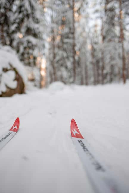 Stockholm: Introduction to Cross Country Skiing - Lunch and Rest Breaks in the Swedish Forest
