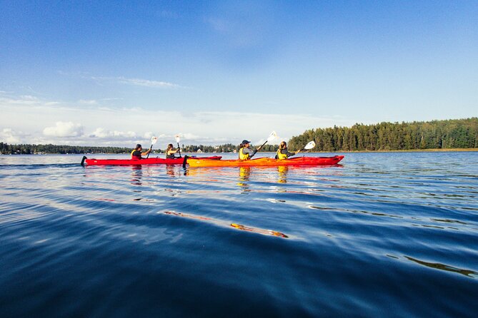 Stockholm: Kayaking tour around Vaxholm Archipelago with Fika - Navigating Stockholm’s Archipelago by Kayak