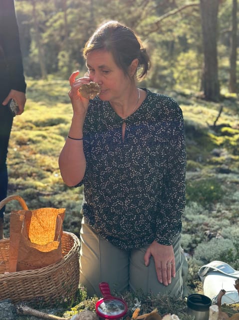 Stockholm, Mushroom and Wild Plant Foraging Tour with expert - Hands-On Cooking with Foraged Ingredients at the Lake