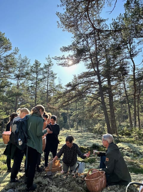 Stockholm, Mushroom and Wild Plant Foraging Tour with expert - Who Will Appreciate This Foraging Adventure?