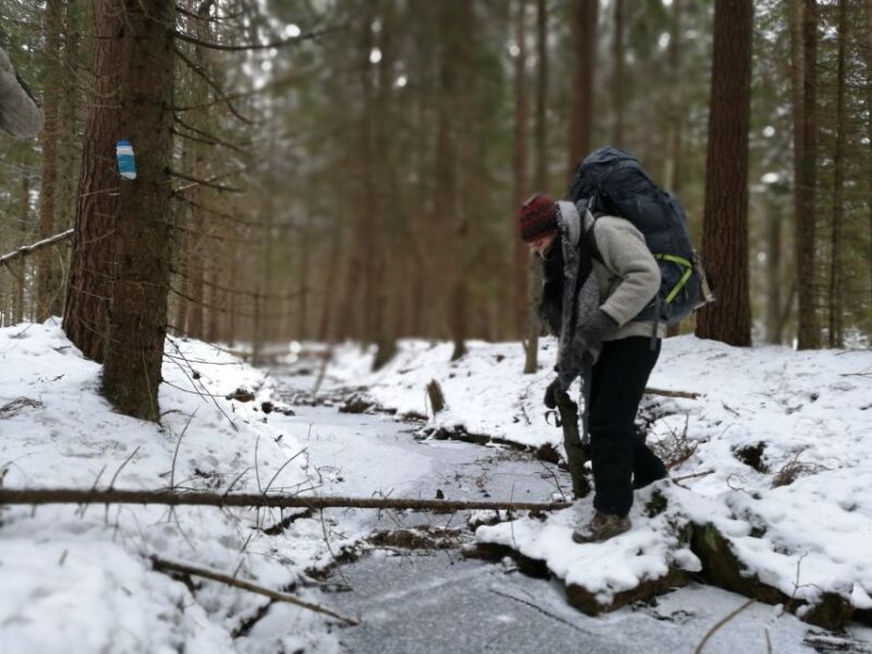 Stockholm: Nature Hike with Campfire Lunch - From the Snowy Forest to Building a Cozy Campfire