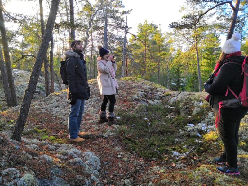 Stockholm: Nature Hike with Campfire Lunch - Who Will Enjoy This Wilderness Hike in Stockholm?