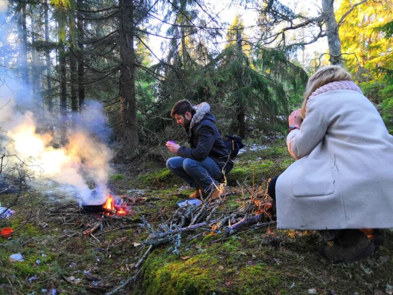 Stockholm: Nature Hike with Campfire Lunch - The Sum Up: A Practical and Enjoyable Day Outdoors Near Stockholm
