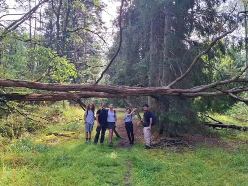 Stockholm: Nature Reserve Hiking Tour with Campfire Lunch - Who Will Enjoy This Swedish Nature Hike?