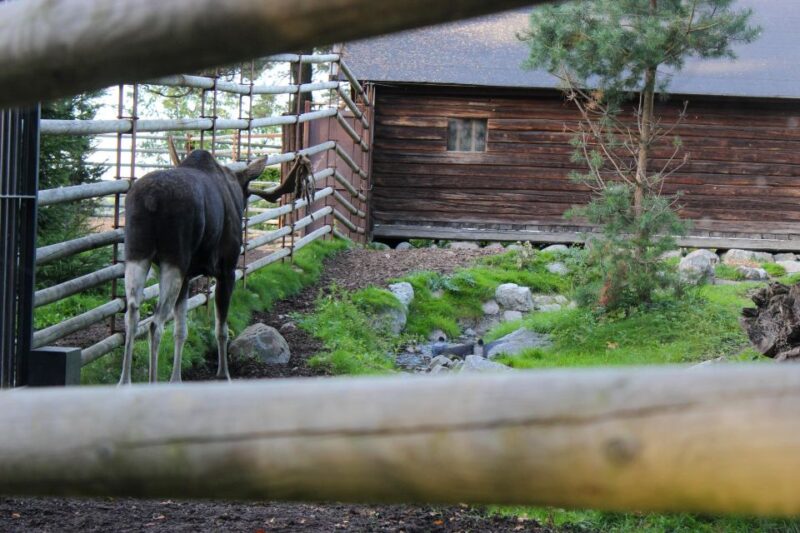 Stockholm: Personalized Guided Tour for Families - Discover the Vasa Ship Museum