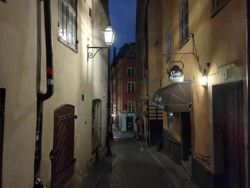 Stockholm: private 3h tour - Old Town, ferry and Vasa museum - Key Points