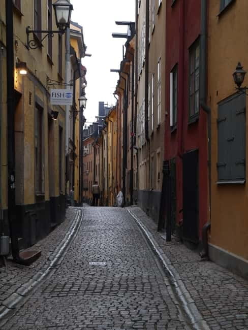 Stockholm: Private Guided Car Tour and Vasa Museum Entry - Frequently Asked Questions