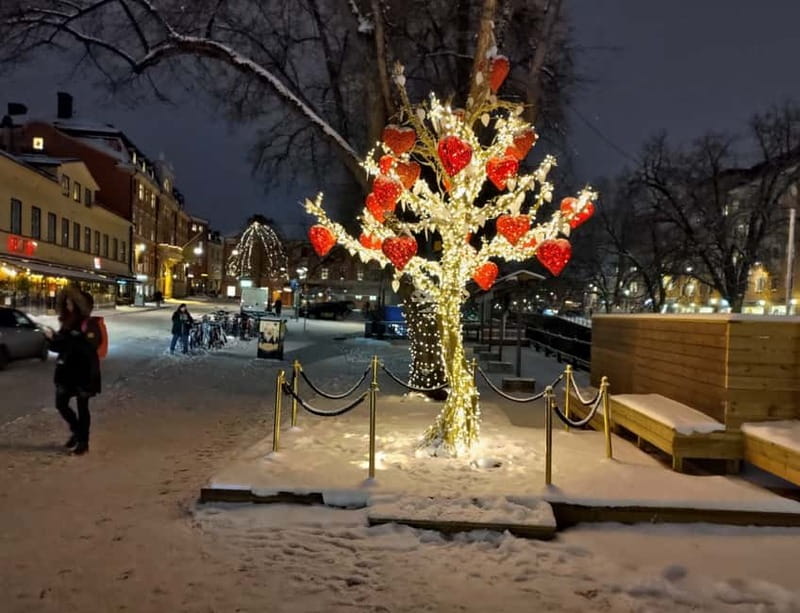 Stockholm: Private Magical Swedish Christmas Tour 2h - The Meeting Point at Gustav III Obelisk