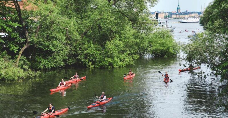 Stockholm: Self-Guided 1 or 2-Person Kayak Tour - The Choice Between Single and Double Kayaks