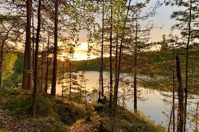 Stockholm: Sunset Hike in Tyresta National Park with Meal - The Scenic Trails of Tyresta National Park
