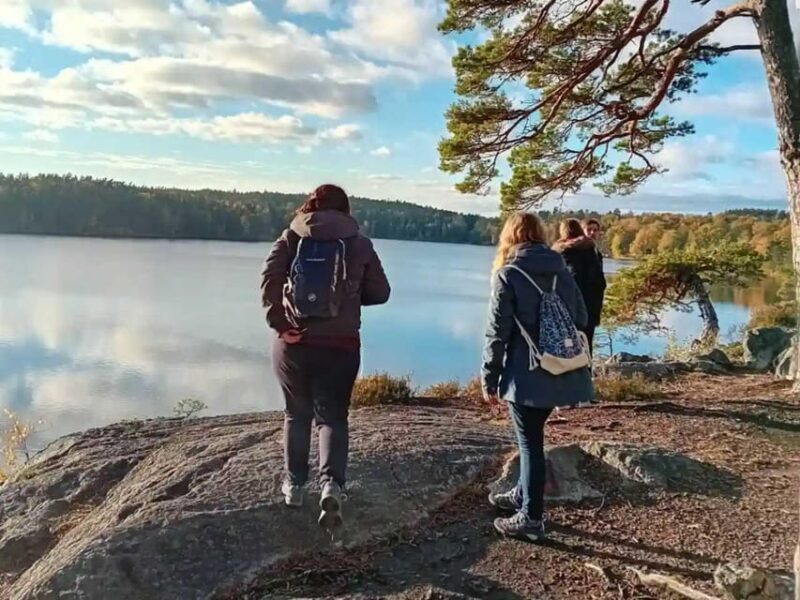 Stockholm: Sunset Hike in Tyresta National Park with Meal - Continuing the Sunset Hike through the Forest