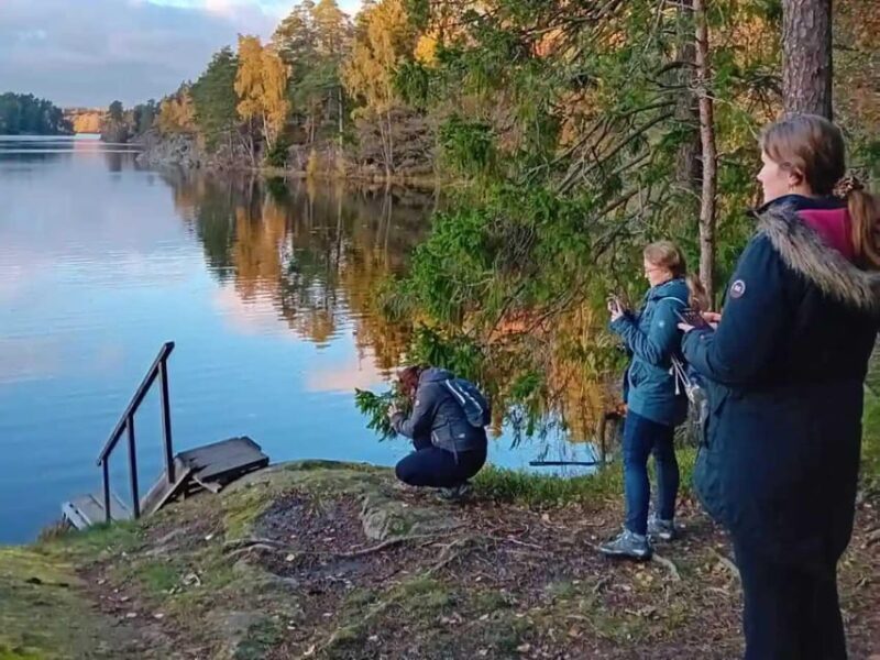 Stockholm: Sunset Hike in Tyresta National Park with Meal - Wildlife Encounters and Nature Insights