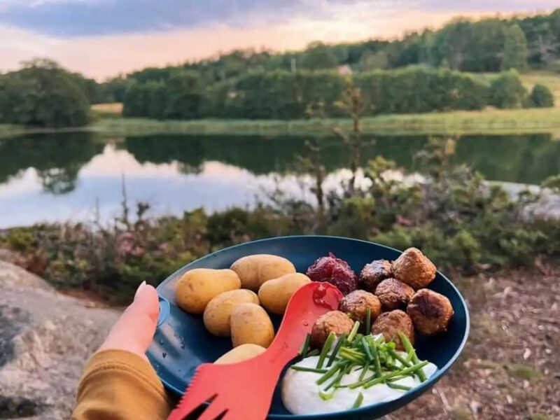 Stockholm: Sunset Hike in Tyresta National Park with Meal - The Scenic Return and End of the Tour