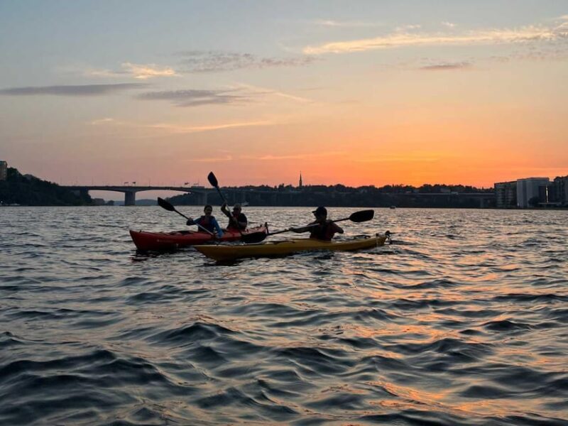 Stockholm: Sunset Kayak Tour in the City + Swedish Fika - The Unique Swedish Fika Experience During the Tour