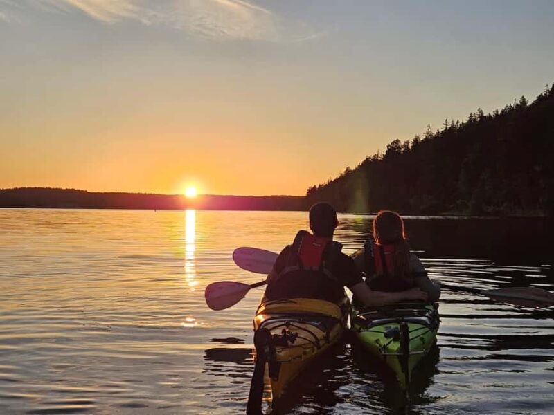 Stockholm: Sunset Kayak Tour on Lake Mälaren with Tea & Cake - Discover the Stockholm Sunset Kayak Adventure on Lake Mälaren