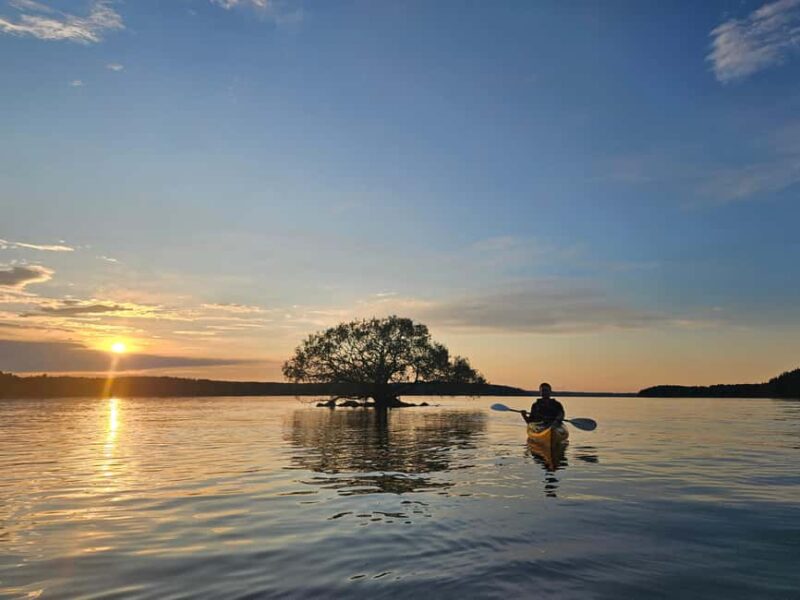 Stockholm: Sunset Kayak Tour on Lake Mälaren with Tea & Cake - What Sets This Tour Apart from Others