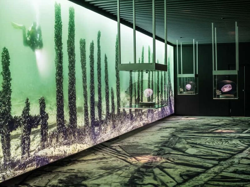 Stockholm: Vasa Museum and Vrak Museum of Wrecks Combo Entry - Suitable For All Ages and Interests