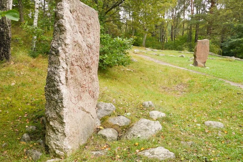 Stockholm Viking History Full Day Tour to Sigtuna + Uppsala - Arkil Assembly Site and Viking Laws