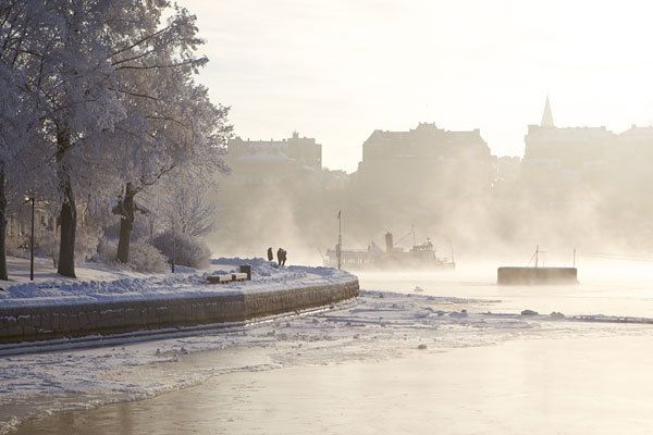 Stockholm: Winter Boat Tour with Guide - The Experience of a Guided Water Tour in Winter