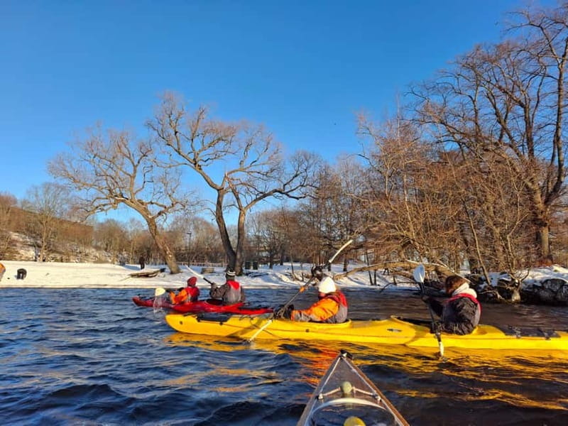 Stockholm: Winter Kayaking Tour through the City Centre - Key Points