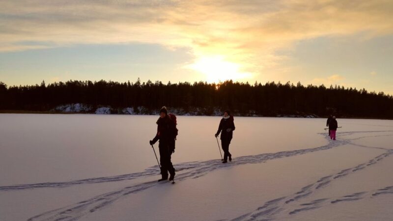 Stockholm: Winter Snowshoe Full-Day Hike - Snowshoeing in Stockholm: A Unique Winter Experience