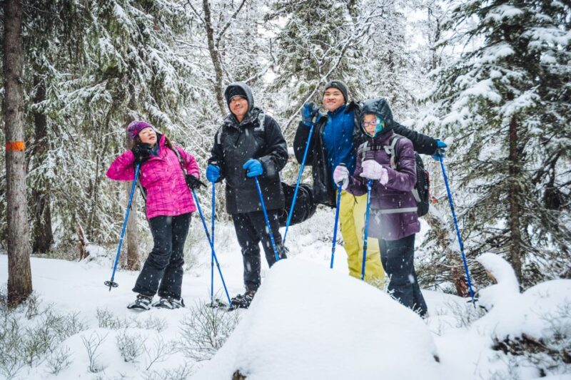 Stockholm: Winter Snowshoe Full-Day Hike - From the City to a Snowy Wilderness Near Stockholm