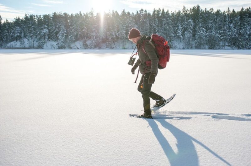 Stockholm: Winter Snowshoe Full-Day Hike - Practical Tips for a Comfortable Day Outdoors