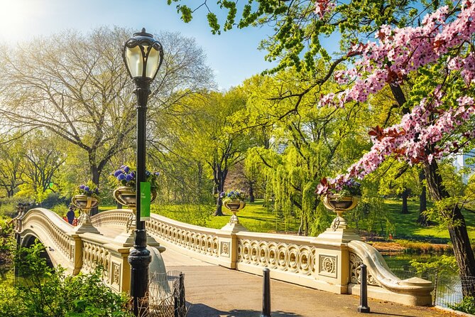 Stolen Archives: Self-Guided Mystery Adventure in Central Park - Practical Logistics and Accessibility