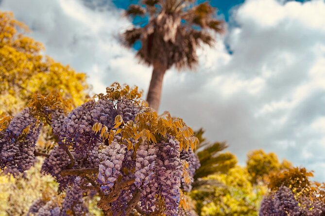 Ston and Peljeac Private Guided Tour From Dubrovnik - Discovering the Old Salt Works of Ston