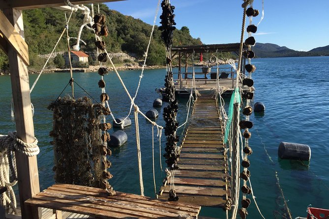 Ston and Peljesac with Wine Tasting Private Tour - Who should consider this tour?