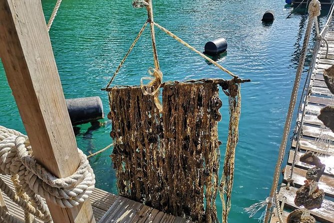 Ston Gastro Tour - Key Points