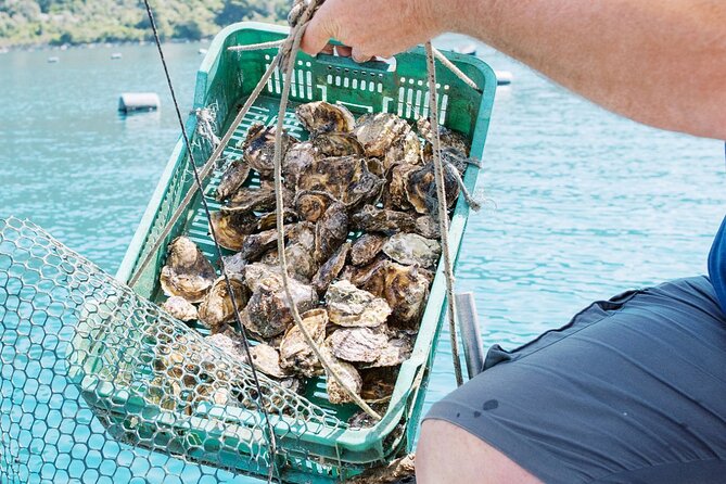 Ston Gastro Tour - Scenic Boat Ride and Scenery Along the Peljeac Peninsula