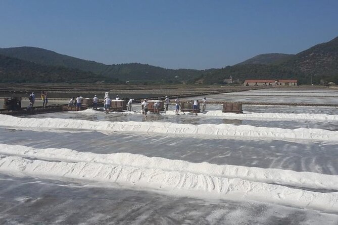 Ston Gastro Tour - Insights from the Multi-Lingual Guides