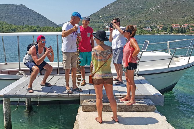 Ston Oysters & Wine Tasting Tour from Dubrovnik - Discover the Ston Oysters & Wine Tasting Tour from Dubrovnik